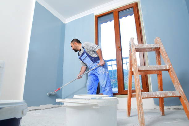 Best Emergency Mold Remediation  in New Holland, PA